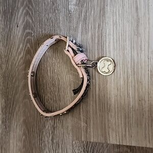 Small Dog Leash